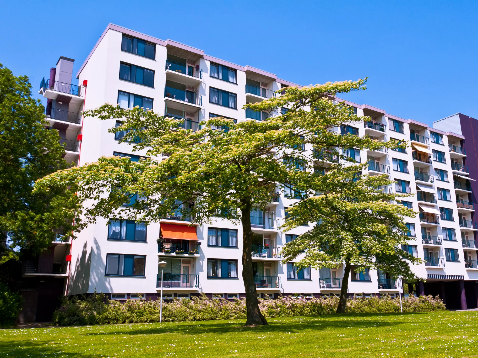 Konut Tasarımı(full-kutu-2)